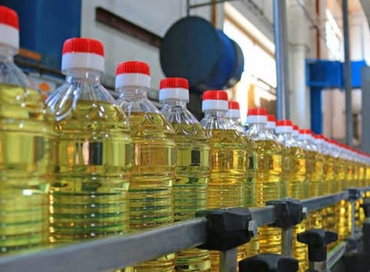 07 12 2023 edible oil naidunia